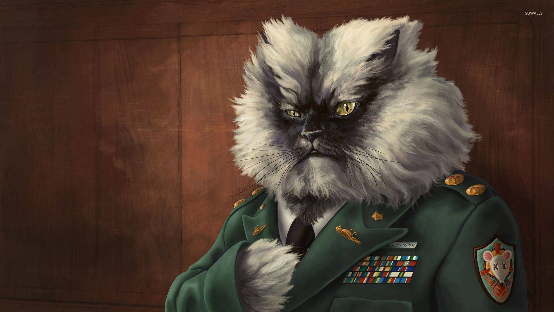 Colonel Meow Wallpaper , HD Wallpaper & Backgrounds
