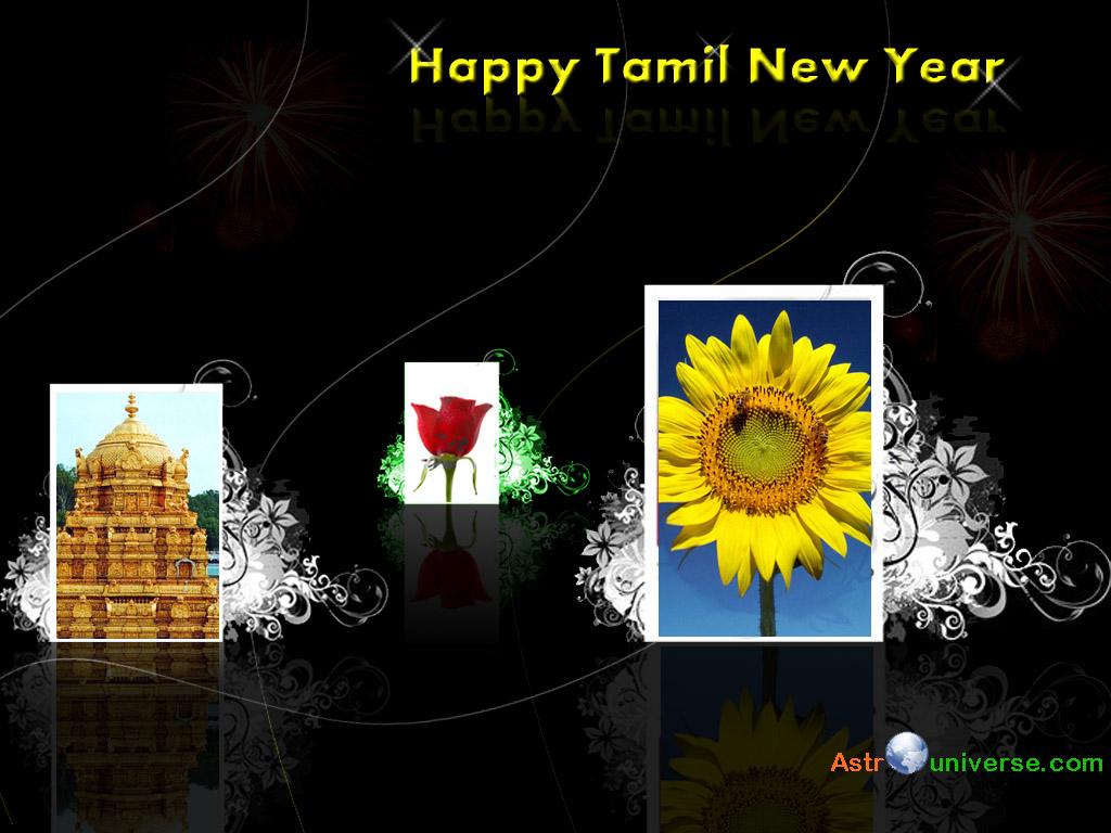 Tamil New Year Wallpapers - Sunflower , HD Wallpaper & Backgrounds