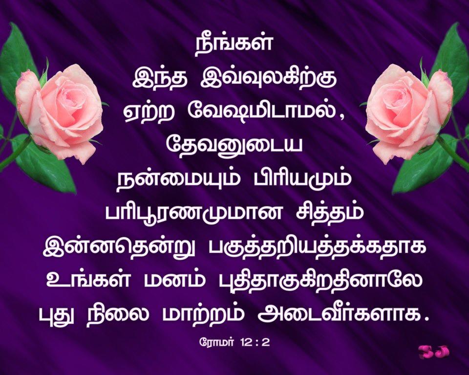 Tamil - Happy Birthday Bible Verses In Tamil , HD Wallpaper & Backgrounds