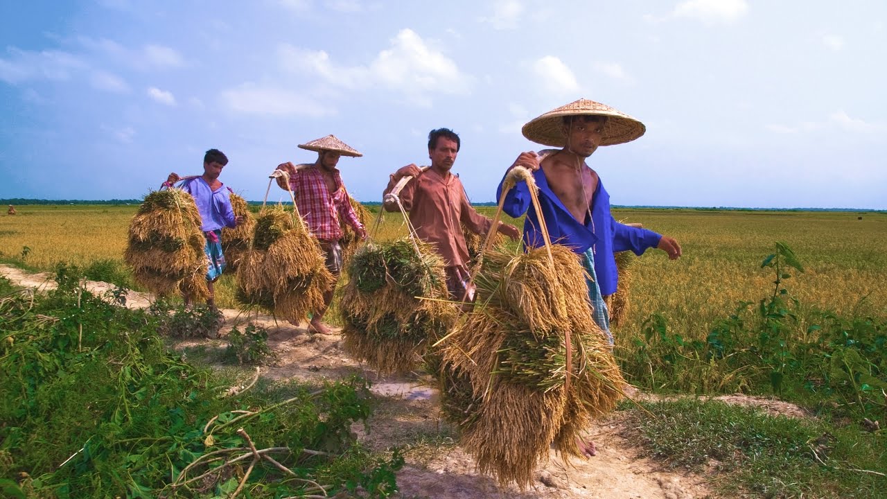 Nature Beauty Of Bangladesh - Nature Pic Of Bangladesh , HD Wallpaper & Backgrounds