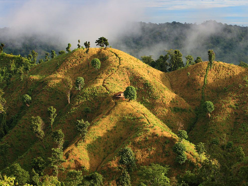 Bandarban Paddies Bangladesh 46130 - Bangladesh Hill , HD Wallpaper & Backgrounds