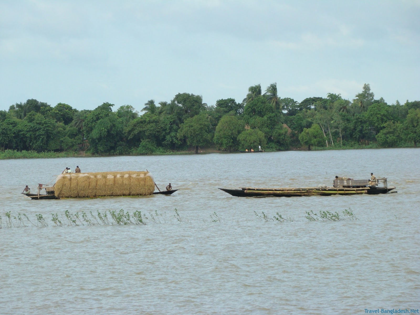 Natural Beauty Of Bangladesh - Pabna Cholon Bil , HD Wallpaper & Backgrounds