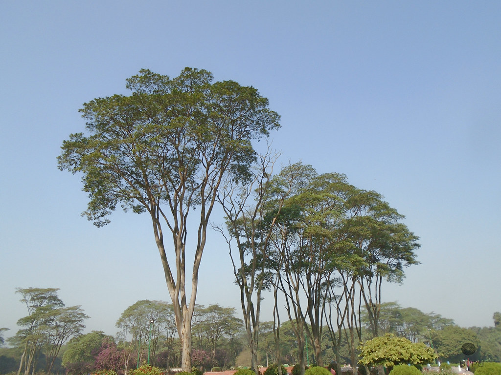 Natural Beauty Of Bangladesh Tags - Botanical Garden , HD Wallpaper & Backgrounds