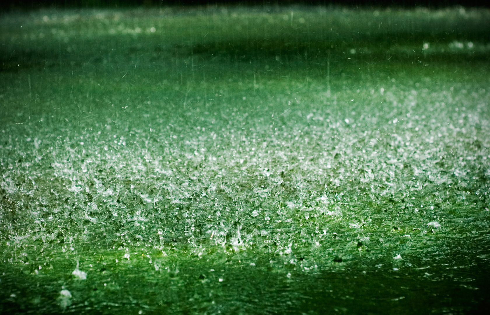 Rainy Grass - Beauty Of Rainy Season In Bangladesh , HD Wallpaper & Backgrounds