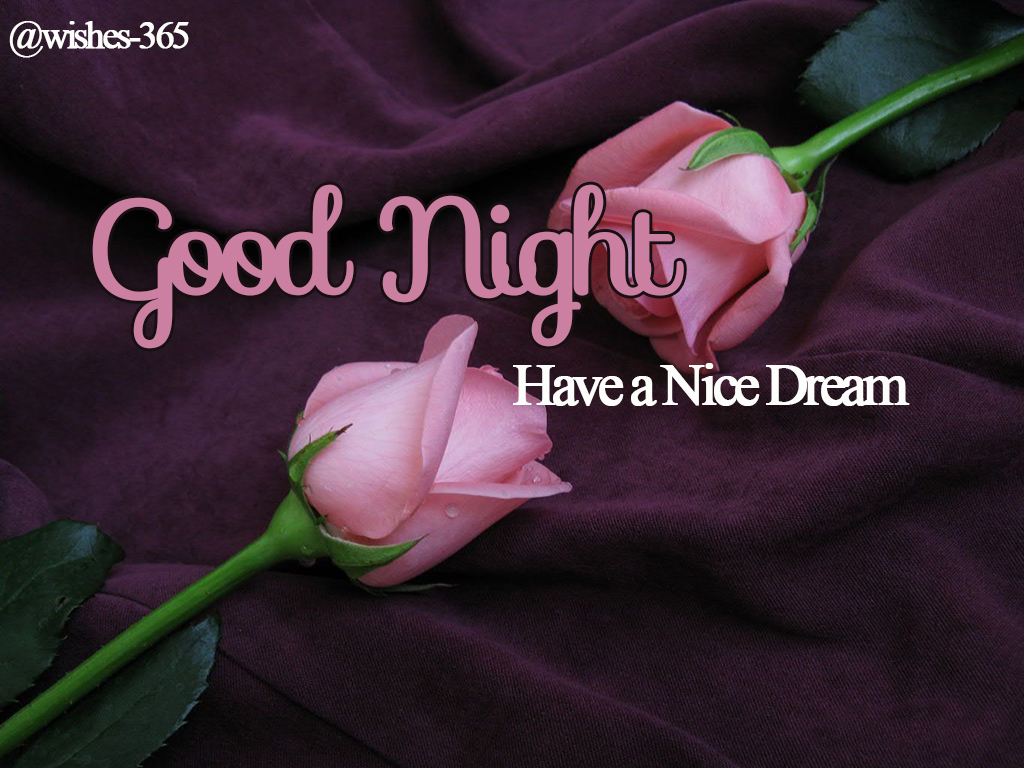 Good Night My Love Of Life Quotes With Poetry And Worldwide - Good Night Image With Pink Rose , HD Wallpaper & Backgrounds