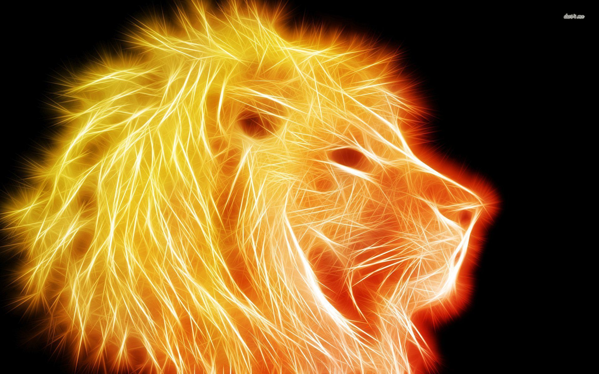 Glowing Golden Lion Wallpaper - Lion Hd Wallpaper Neon , HD Wallpaper & Backgrounds