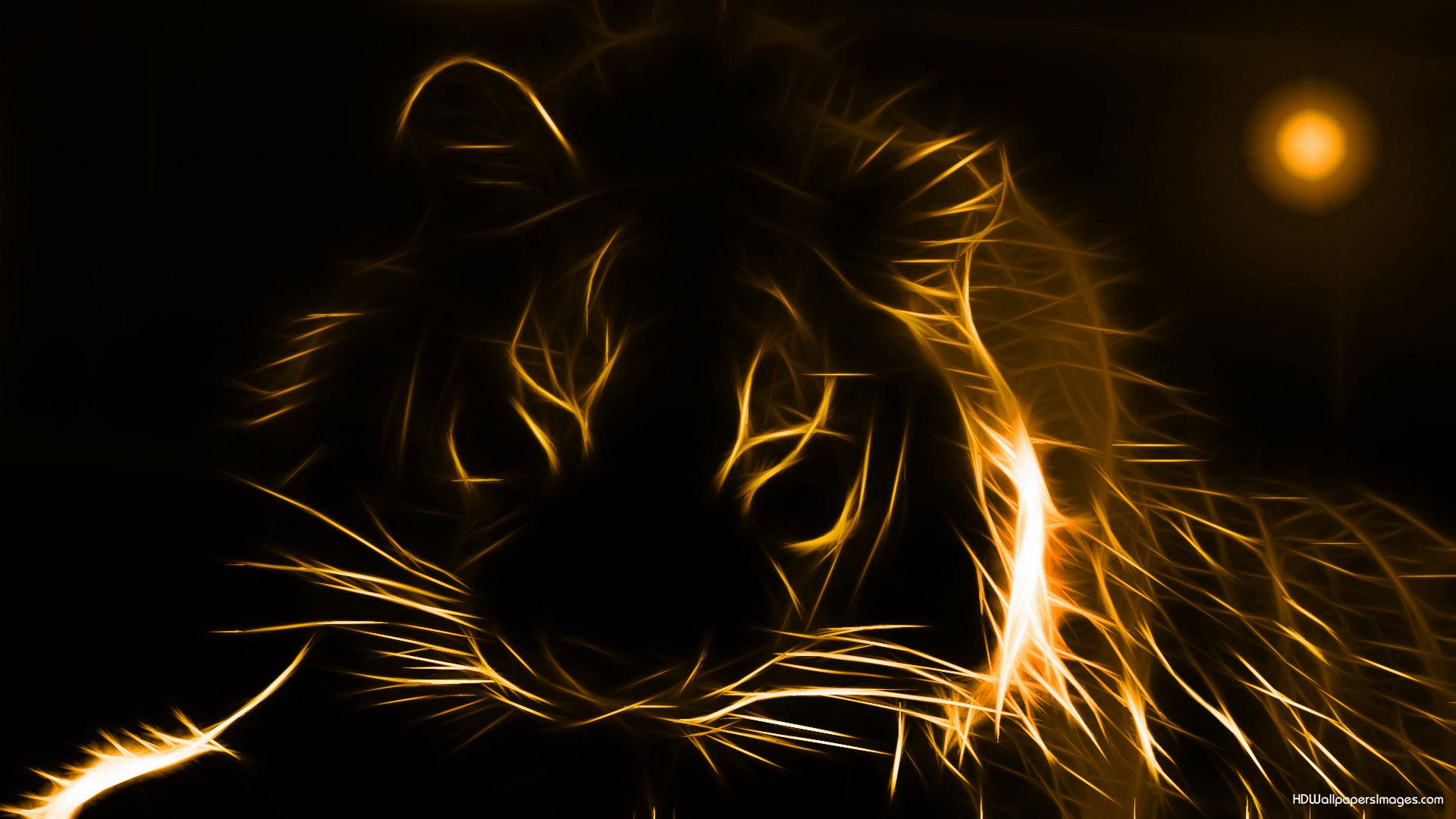Golden Tiger , HD Wallpaper & Backgrounds