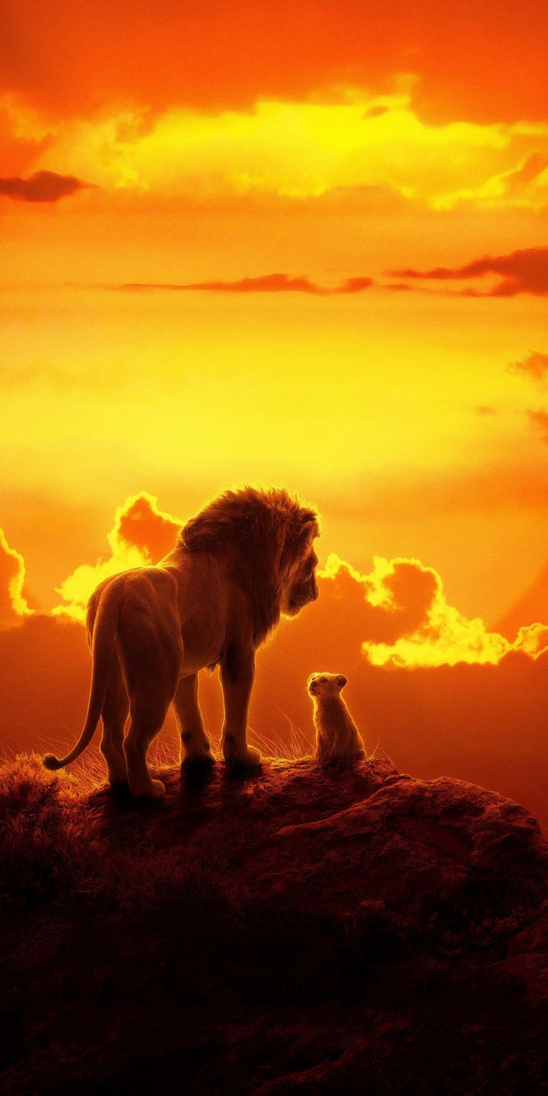 The Lion King, Lion And Cub, 2019 Movie, Wallpaper New Lion King
