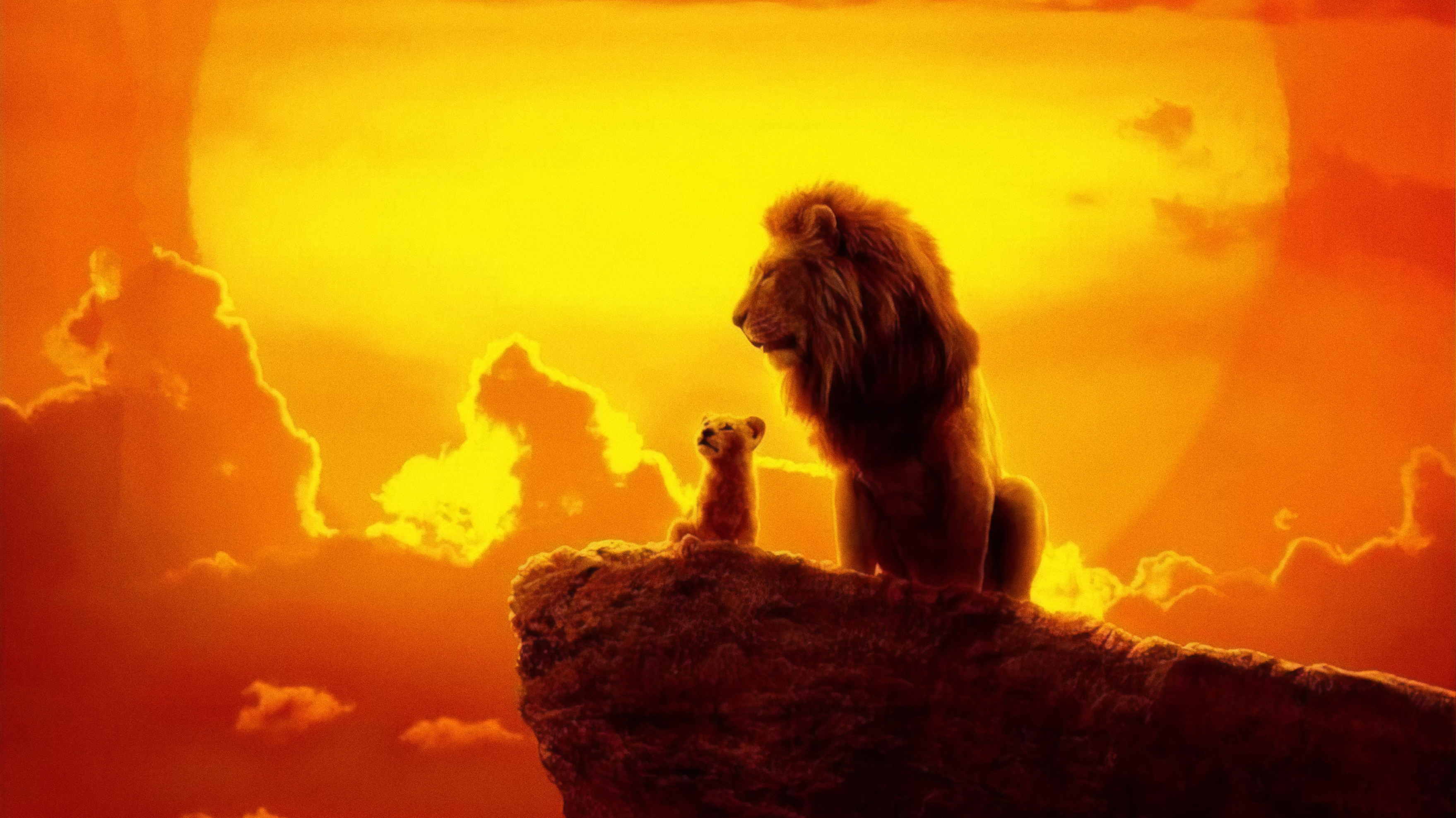 The Lion King 2019 4k - Lion King 2019 , HD Wallpaper & Backgrounds