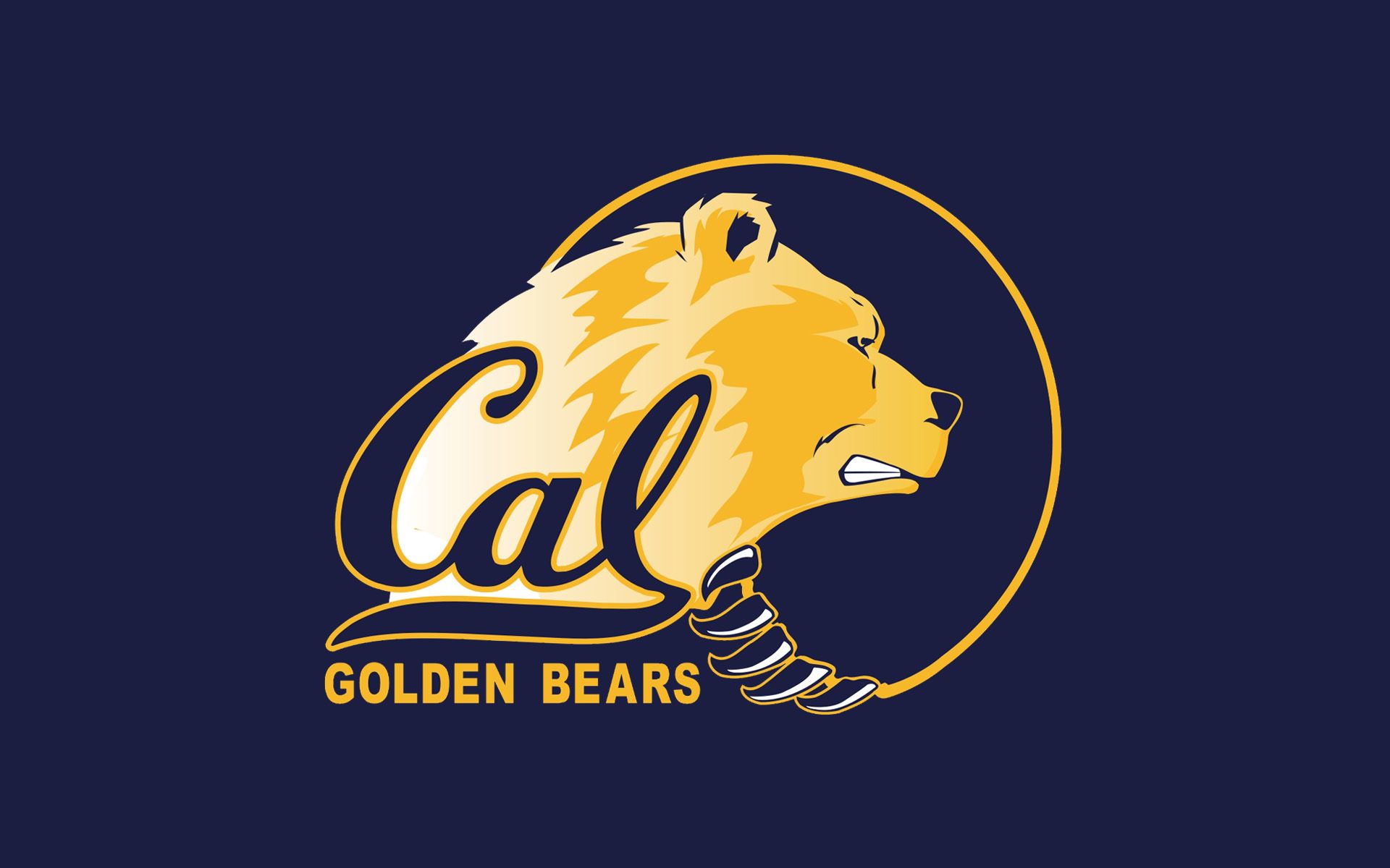 California Golden Bears , HD Wallpaper & Backgrounds