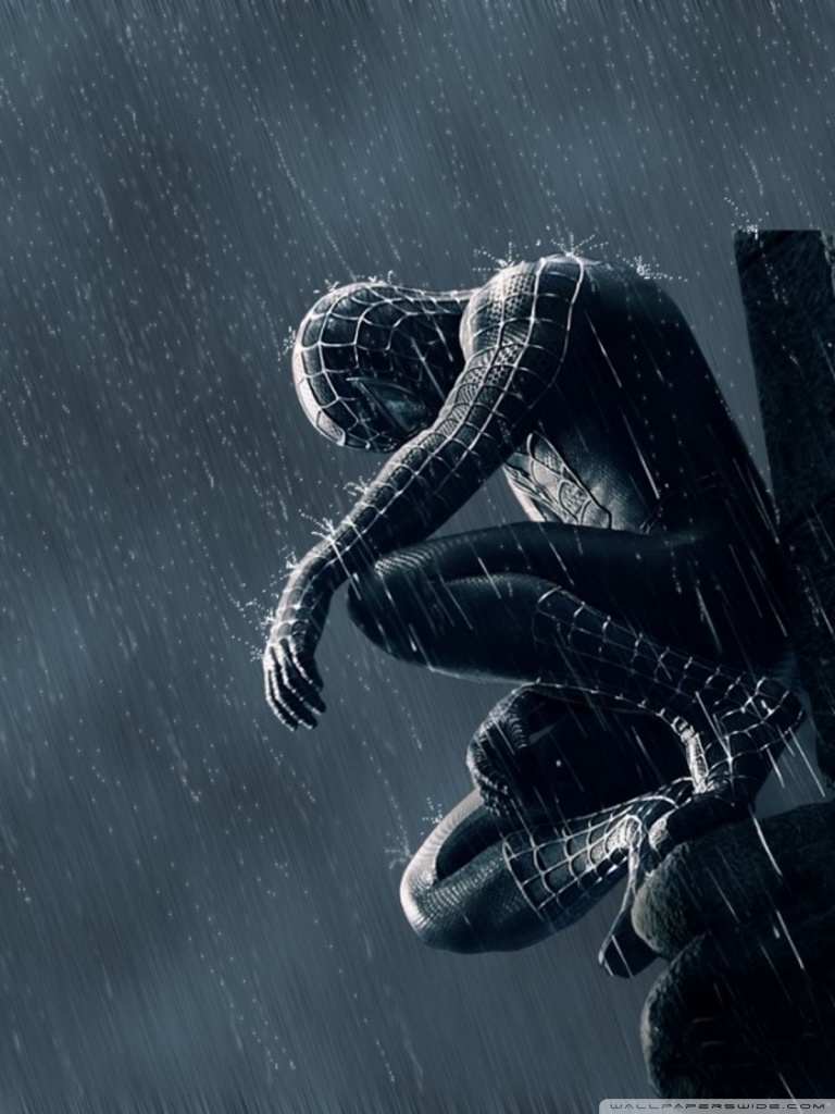 Black Suit Spiderman Sam Raimi , HD Wallpaper & Backgrounds