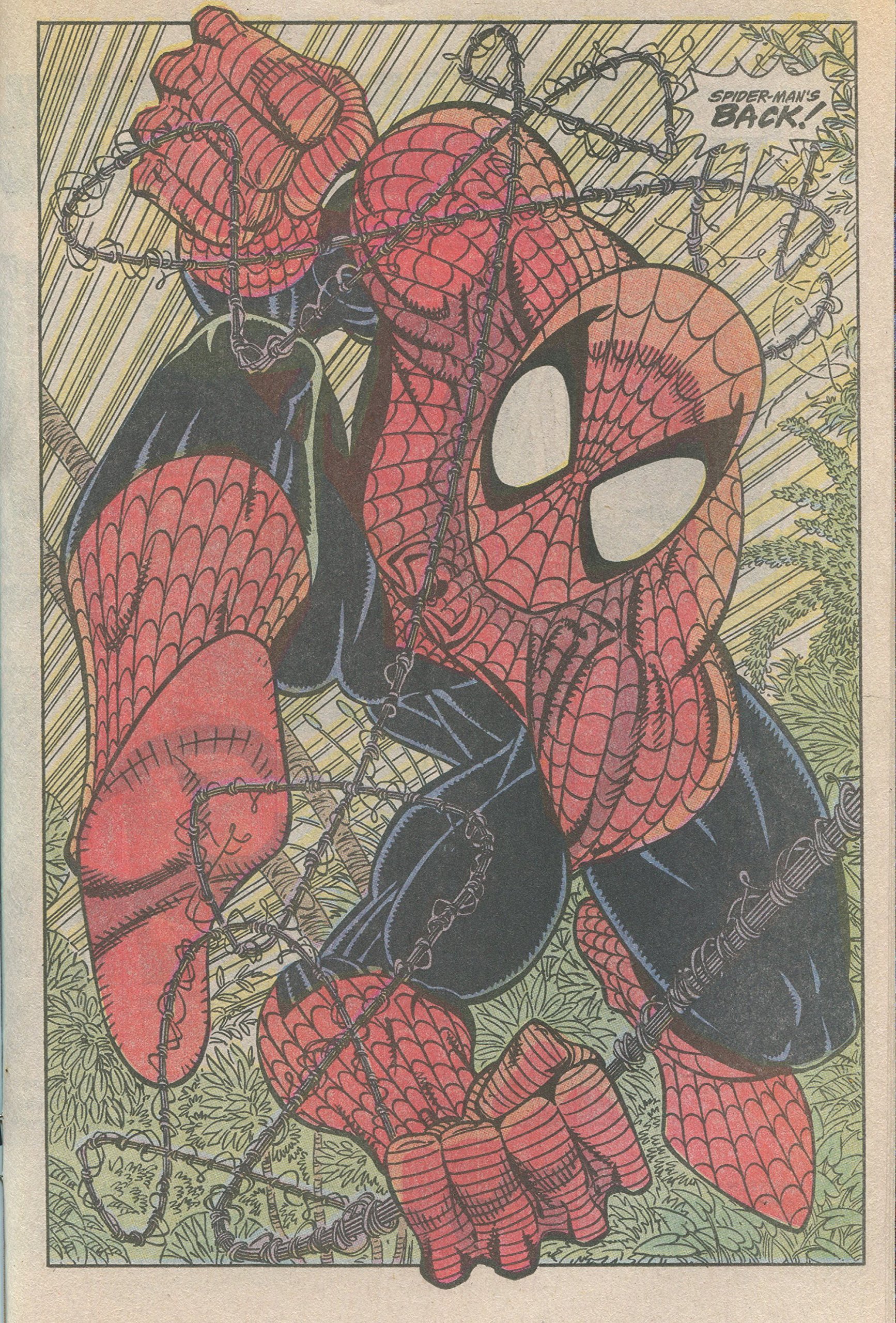 Amazon The Amazing Spider Man 343 War Garden Powerless - 1991 Spider Man Comics , HD Wallpaper & Backgrounds
