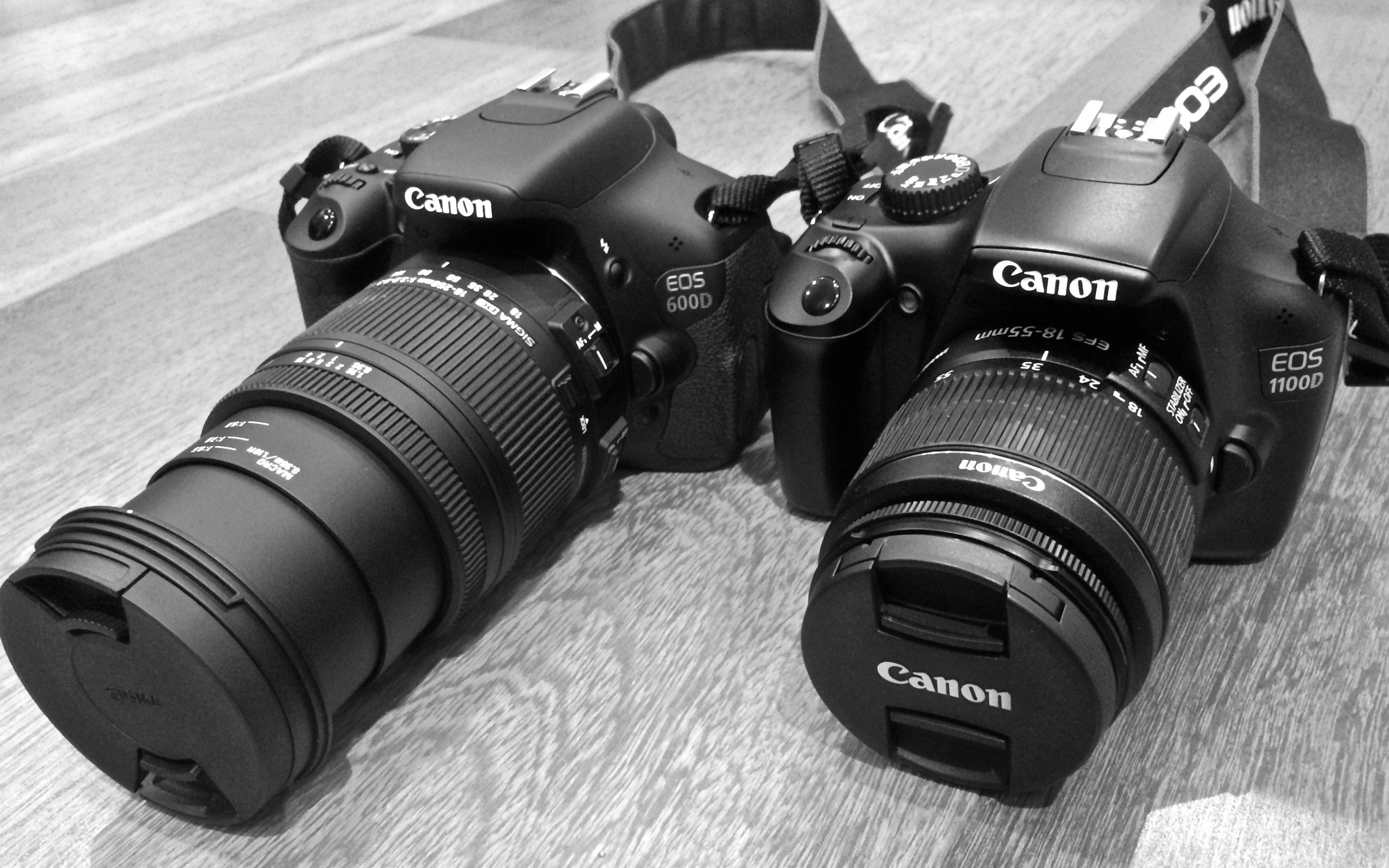 Canon Hd Wallpapers Backgrounds Wallpaper Photography - Dslr Photography Wallpaper Canon , HD Wallpaper & Backgrounds