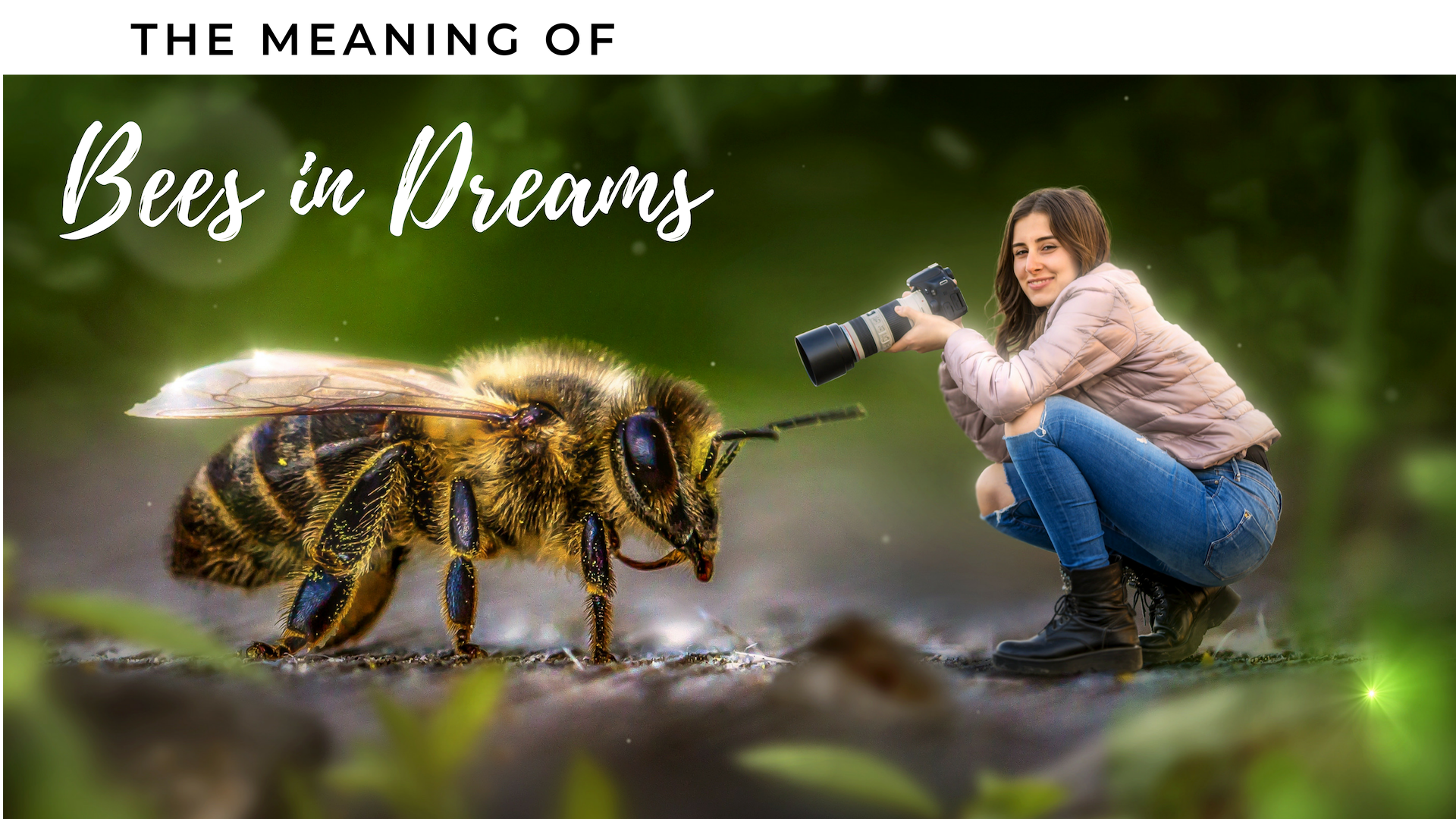How To Interpret Dreams About Bees - Honeybee , HD Wallpaper & Backgrounds