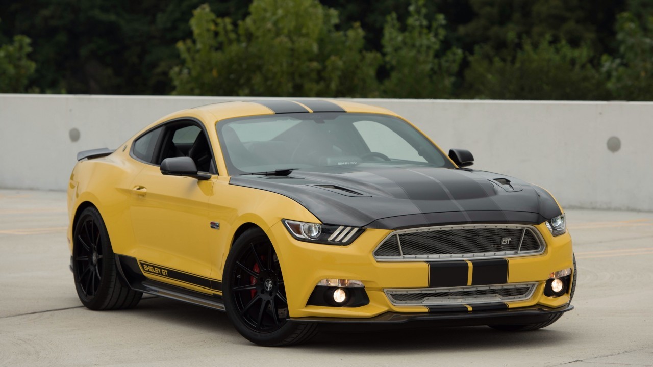 Ford Mustang Shelby, Yellow, Black, Sport, Cars, Front - 2016 Black And Yellow Mustang , HD Wallpaper & Backgrounds
