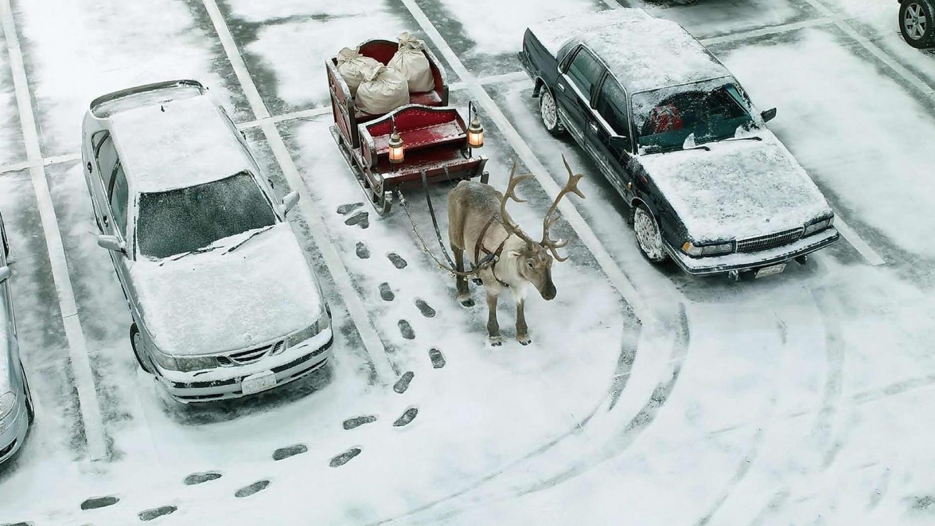 Funny Snow Christmas Humor Sledge Cars Winter Reindeer - Santa Sleigh Parking Lot , HD Wallpaper & Backgrounds