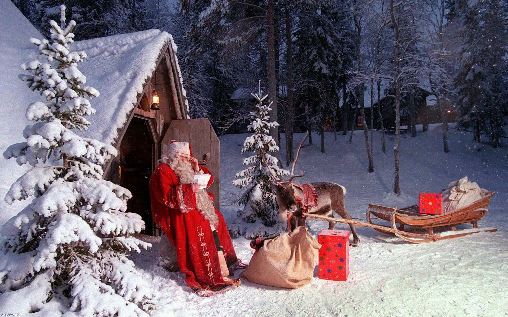 Sledge Beauty New Year Reindeer Santa Claus - Santa Claus , HD Wallpaper & Backgrounds