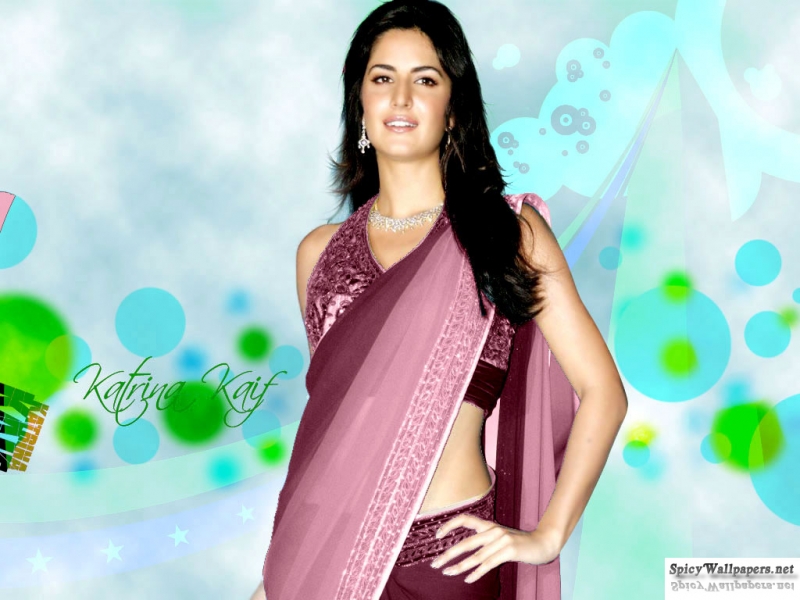 Katrina Kaif Saree Sexy , HD Wallpaper & Backgrounds