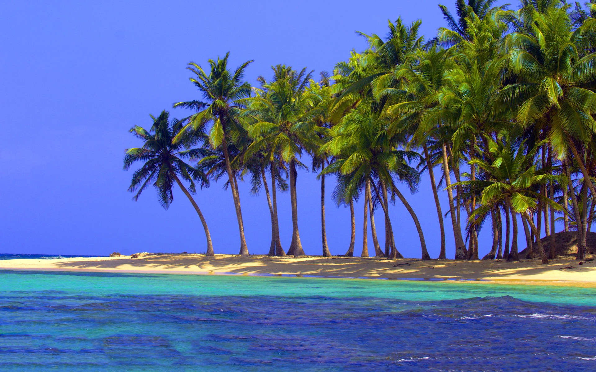 Oceans Palm Island Blue Nature Trees Beach Tropical - Attalea Speciosa , HD Wallpaper & Backgrounds