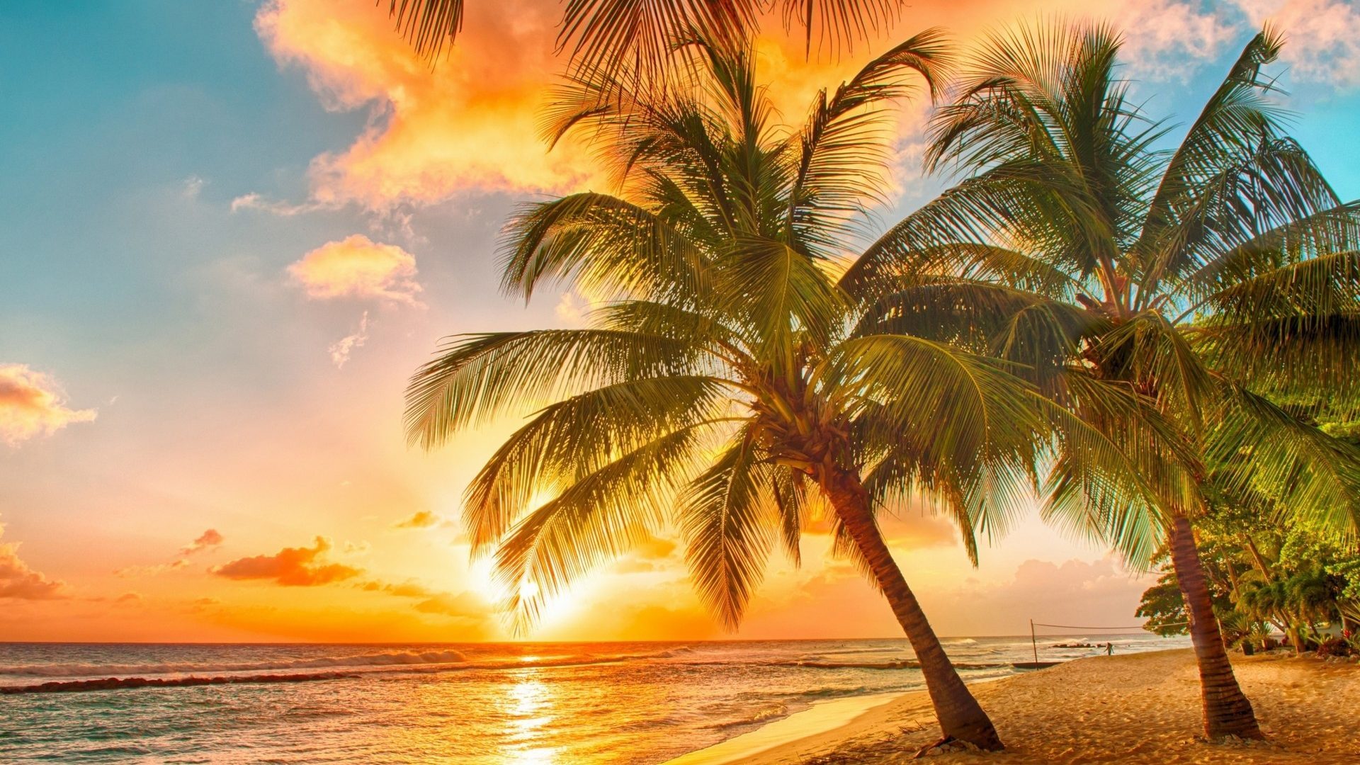 Tropical Sunset Palms Paradise Beach Sea Hd Wallpapers - Good Morning Nature Scene , HD Wallpaper & Backgrounds