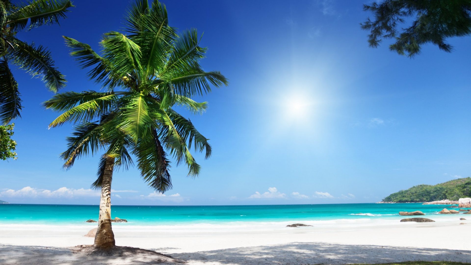 Ocean Sand Summer Coast Beach Palms Tropica Paradise , HD Wallpaper & Backgrounds