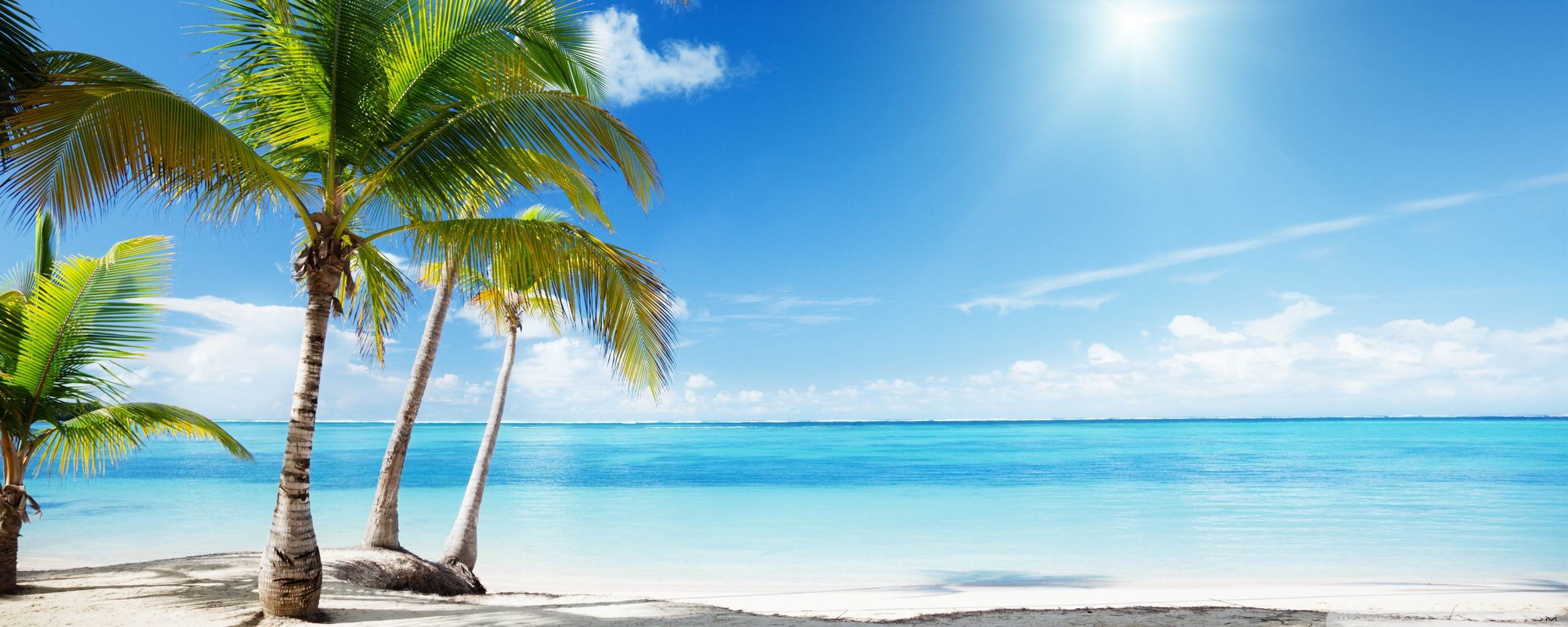 Tropical Beach Paradise Hd Desktop Wallpaper - Tropical Beach , HD Wallpaper & Backgrounds