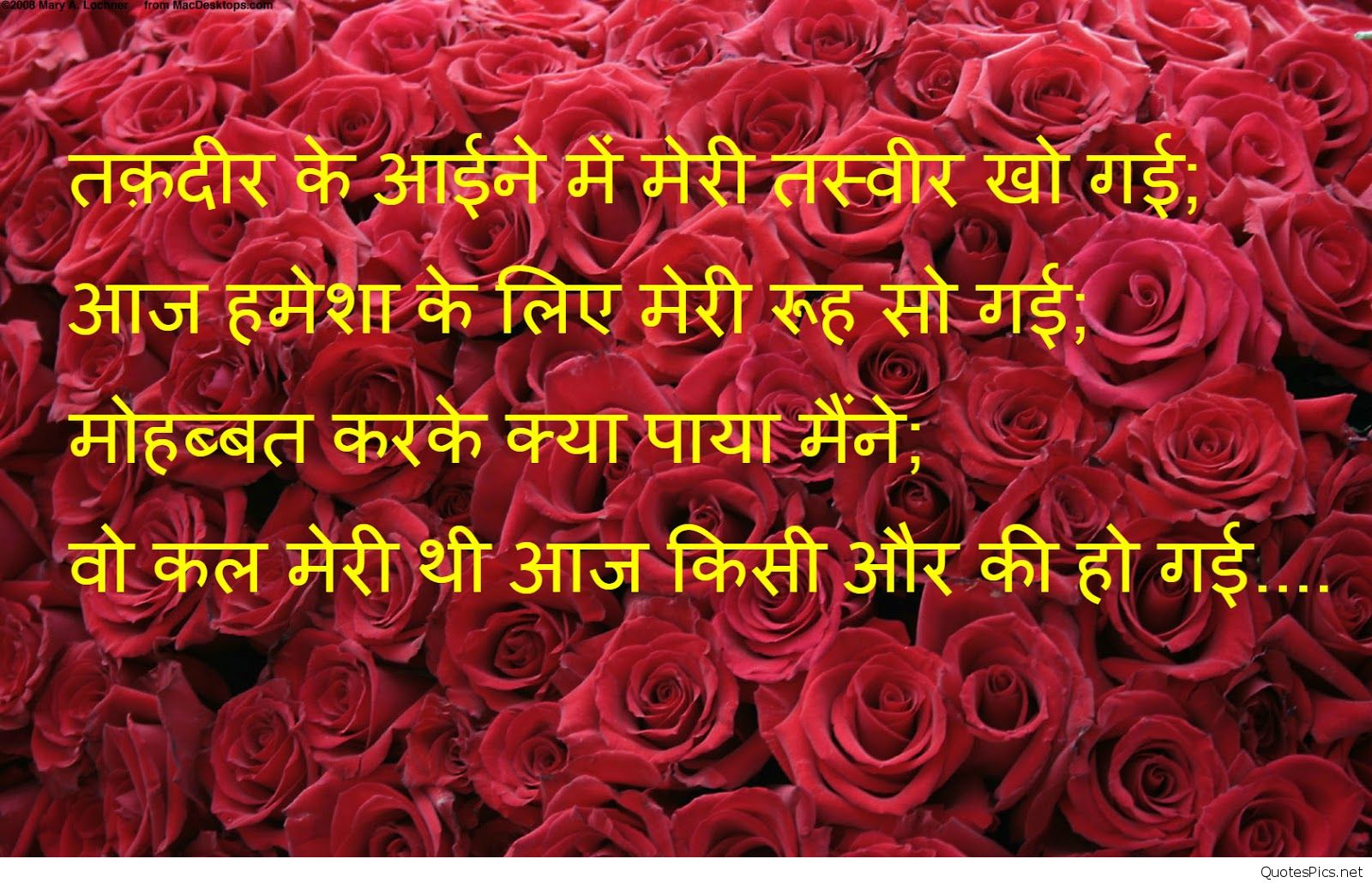 Very Sad Shayari Wallpaper Hindi Quotes Images Hd Top - Screen Full Of Roses , HD Wallpaper & Backgrounds