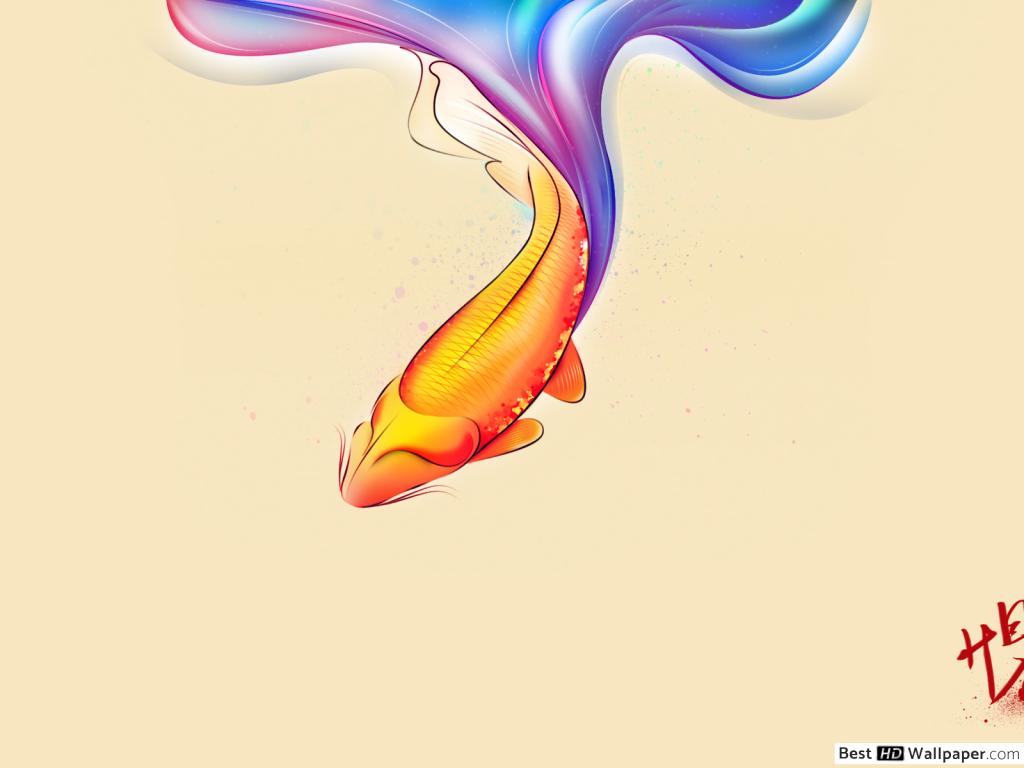 Koi Fish , HD Wallpaper & Backgrounds