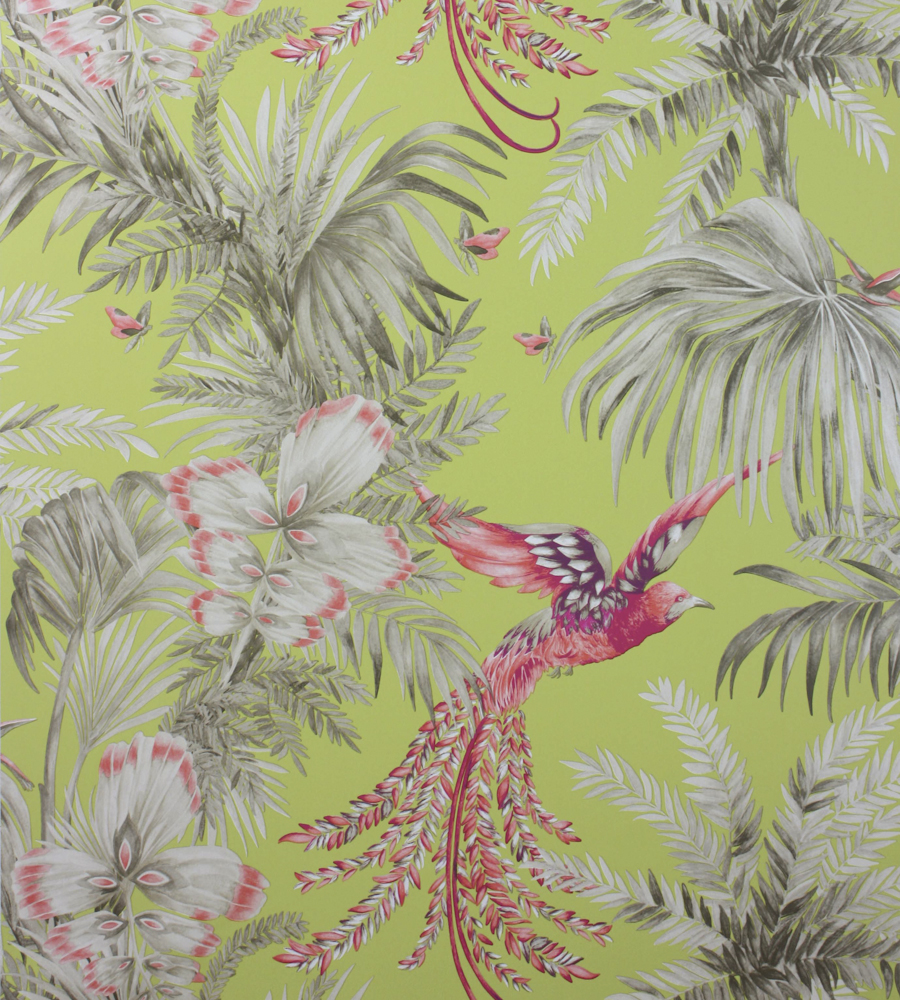 Matthew Williamson Bird Of Paradise , HD Wallpaper & Backgrounds