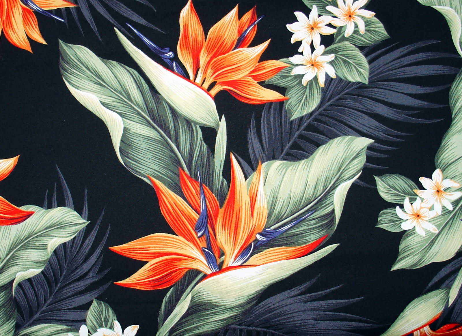 Birds Of Paradise Wallpaper Givenchy - Birds Of Paradise Pattern , HD Wallpaper & Backgrounds