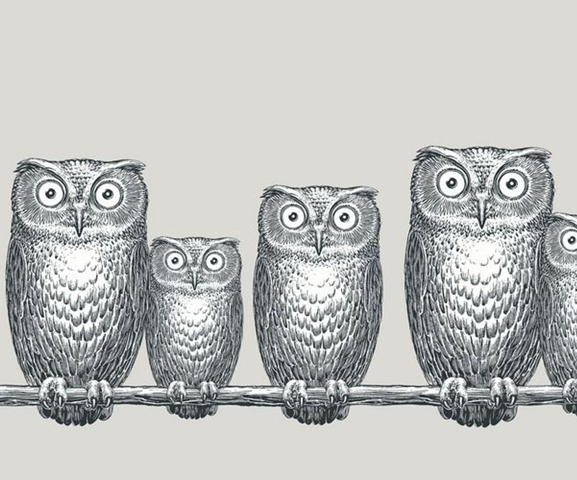 Fornasetti Ii - - Cole And Son Owls , HD Wallpaper & Backgrounds