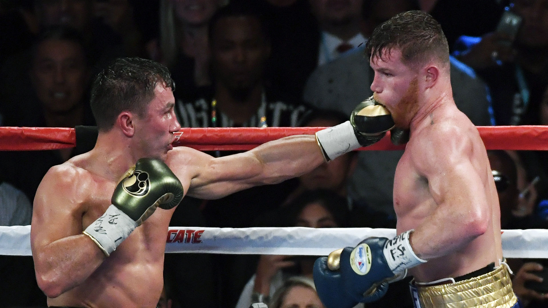 Canelo Alvarez Rematch Will Be Our Greatest Battle - Canelos Eye Vs Ggg , HD Wallpaper & Backgrounds