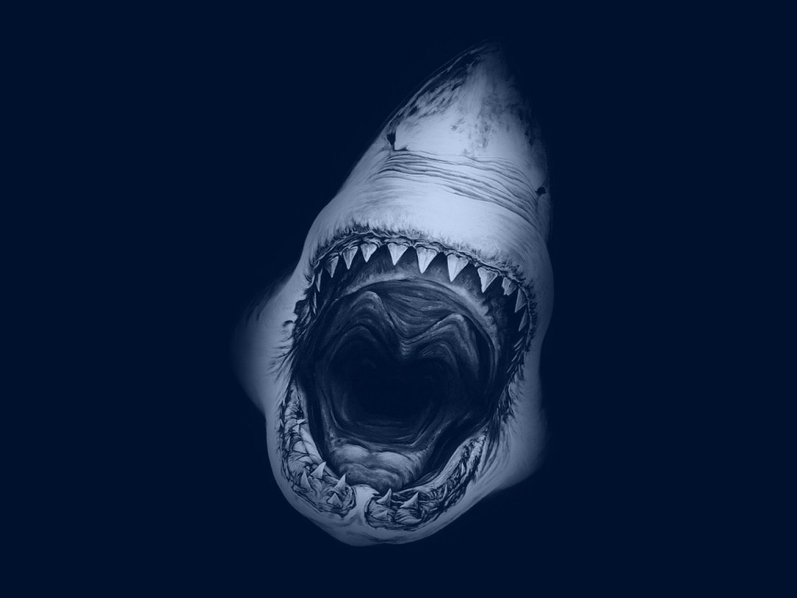 Gym Shark Wallpaper Wallpapersafari - Shark Live Wallpaper Iphone , HD Wallpaper & Backgrounds