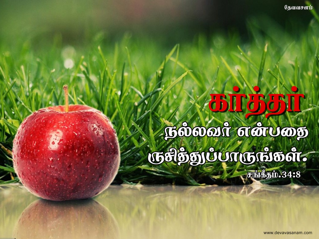 Bible Words In Tamil Hd , HD Wallpaper & Backgrounds