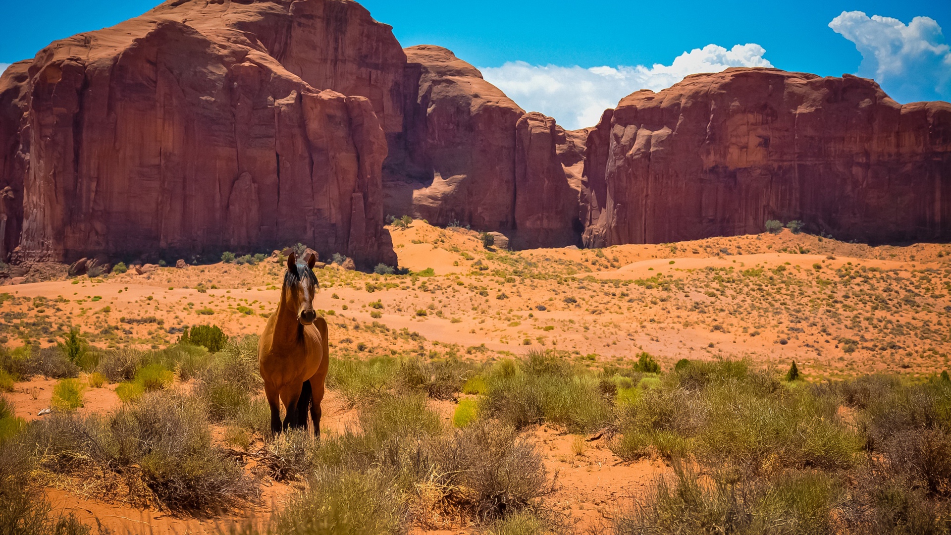 Wallpaper Horse, Usa, Arizona, Monument Valley, Desert, - Arizona Desert , HD Wallpaper & Backgrounds