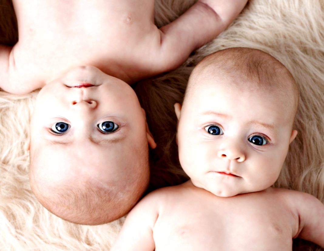 Twins Boy Baby Hd Wallpaper Backgrounds Download