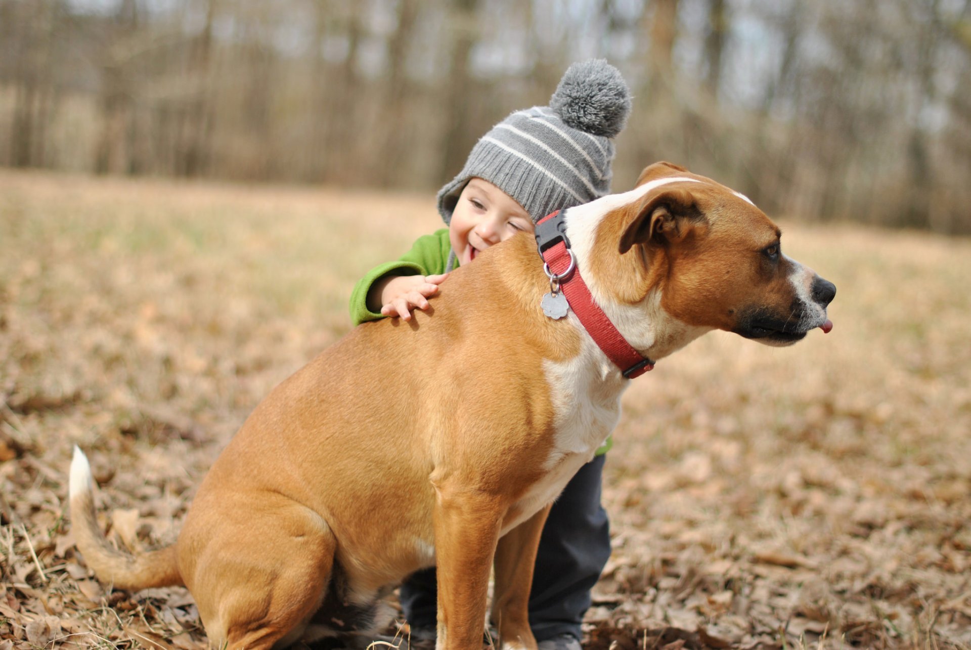 Boys Dog Other Mood Happiness Hug Baby Boy Friend Joy - Child Hugging A Dog , HD Wallpaper & Backgrounds