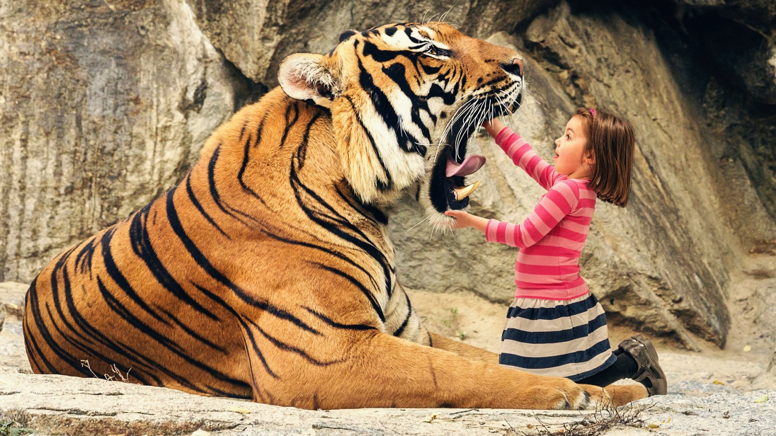 Say Aah Tiger - Cool Background Cool Tiger , HD Wallpaper & Backgrounds