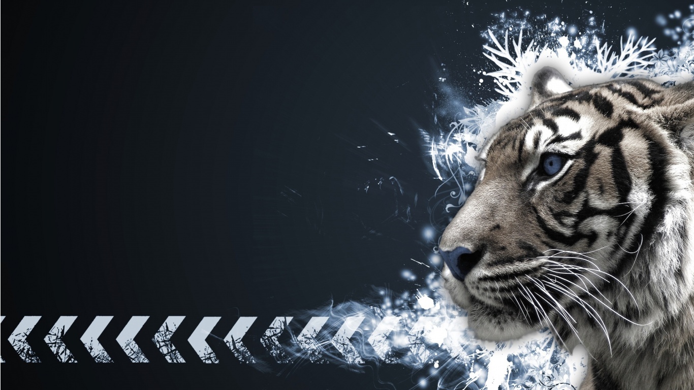 White Tiger Wallpaper - Bengal Tiger Hd Wallpapers Download , HD Wallpaper & Backgrounds