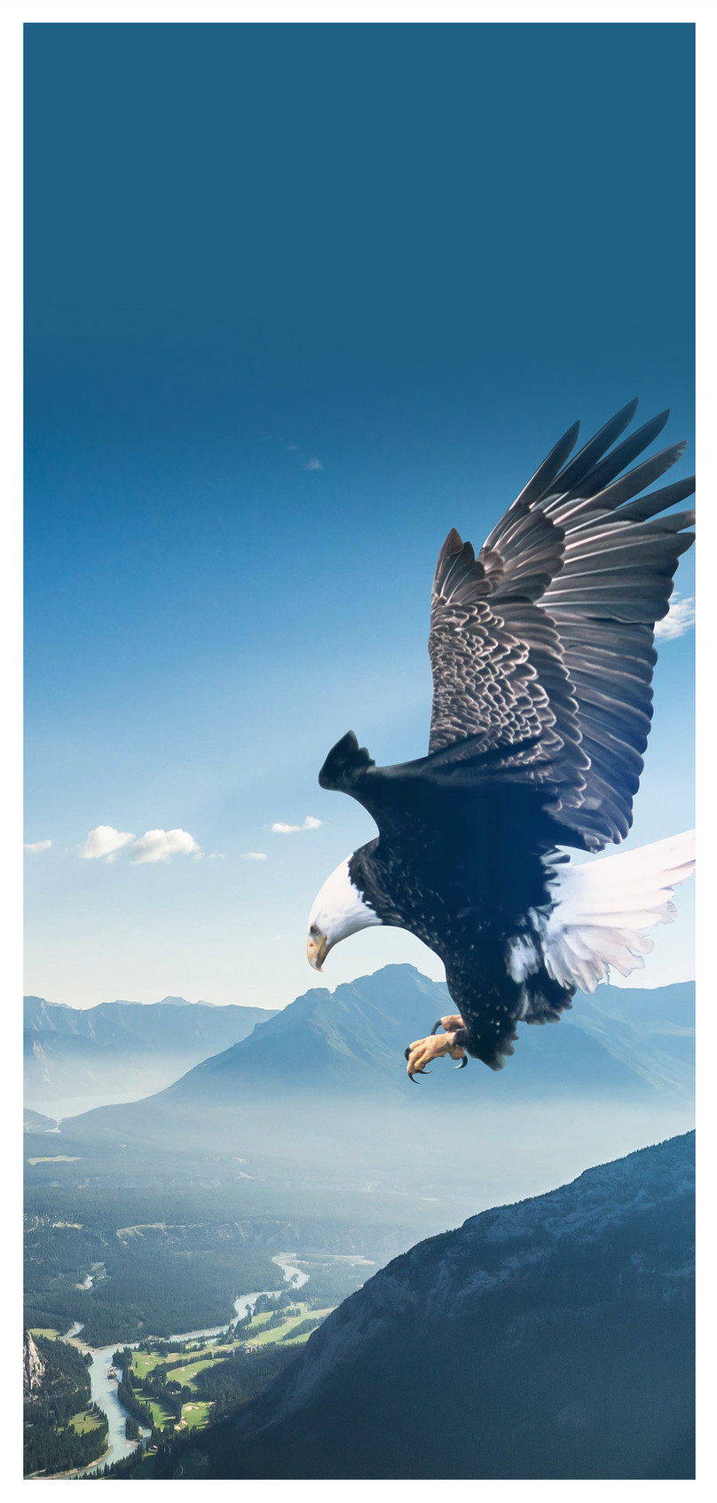 Elang Sayap Wallpaper Ponsel Elang Sayap Wallpaper - Eagle Flying To Nest , HD Wallpaper & Backgrounds