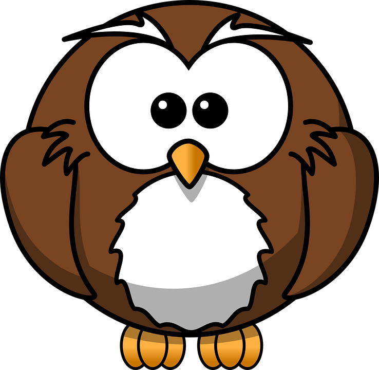 Cartoon Owl , HD Wallpaper & Backgrounds