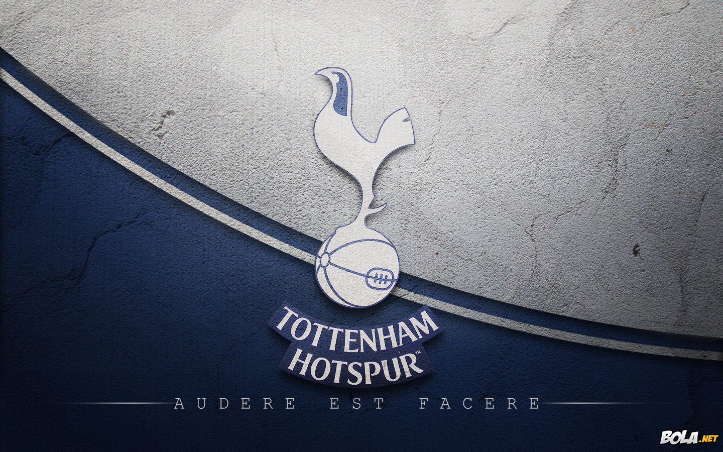 Download Wallpaper - Tottenham Hotspur , HD Wallpaper & Backgrounds