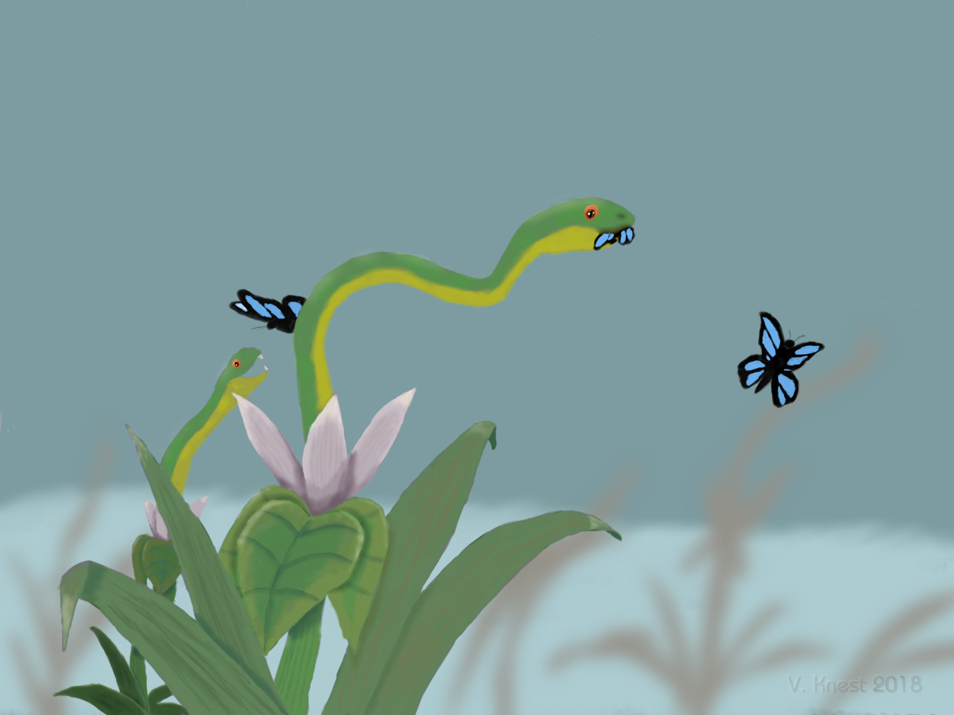 Snakeflower - Caterpillar , HD Wallpaper & Backgrounds