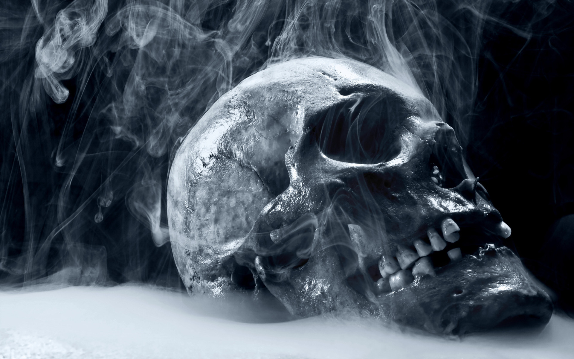 Skull Wallpapers And Backgrounds - Hd Skull , HD Wallpaper & Backgrounds