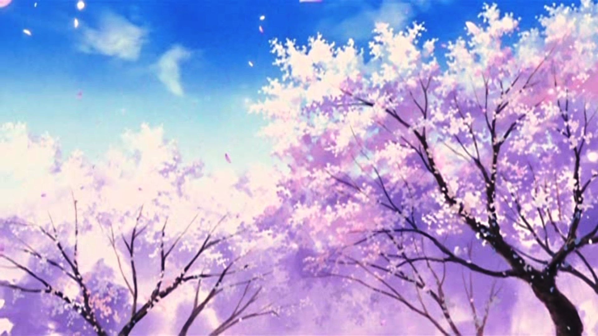 5 Centimeters Per Second Anime Makoto Shinkai Skyscapes - Anime Scenery , HD Wallpaper & Backgrounds