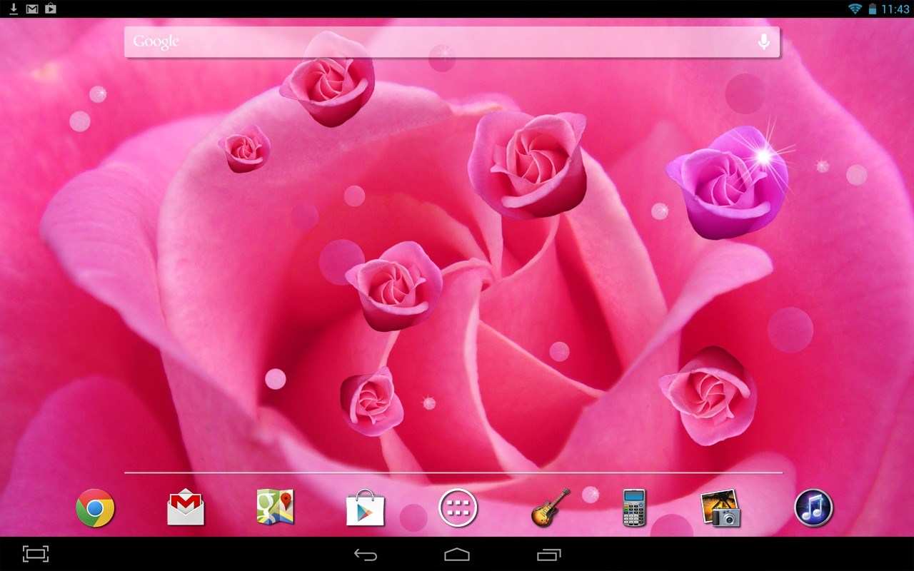Pink Rose Live Wallpaper - Special Rose , HD Wallpaper & Backgrounds