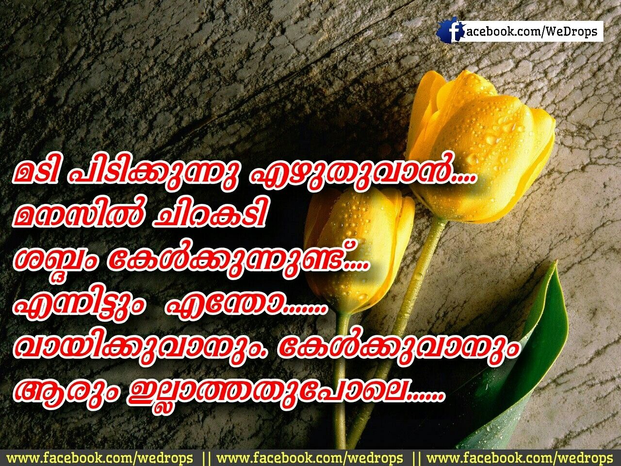 Hd Images Of Love Quotes Malayalam - Friendship Quotes In Malayalam , HD Wallpaper & Backgrounds