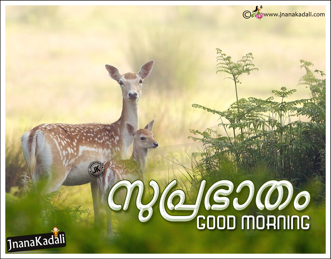 Wallpaper Source - Suprabhatham Wishes In Malayalam , HD Wallpaper & Backgrounds