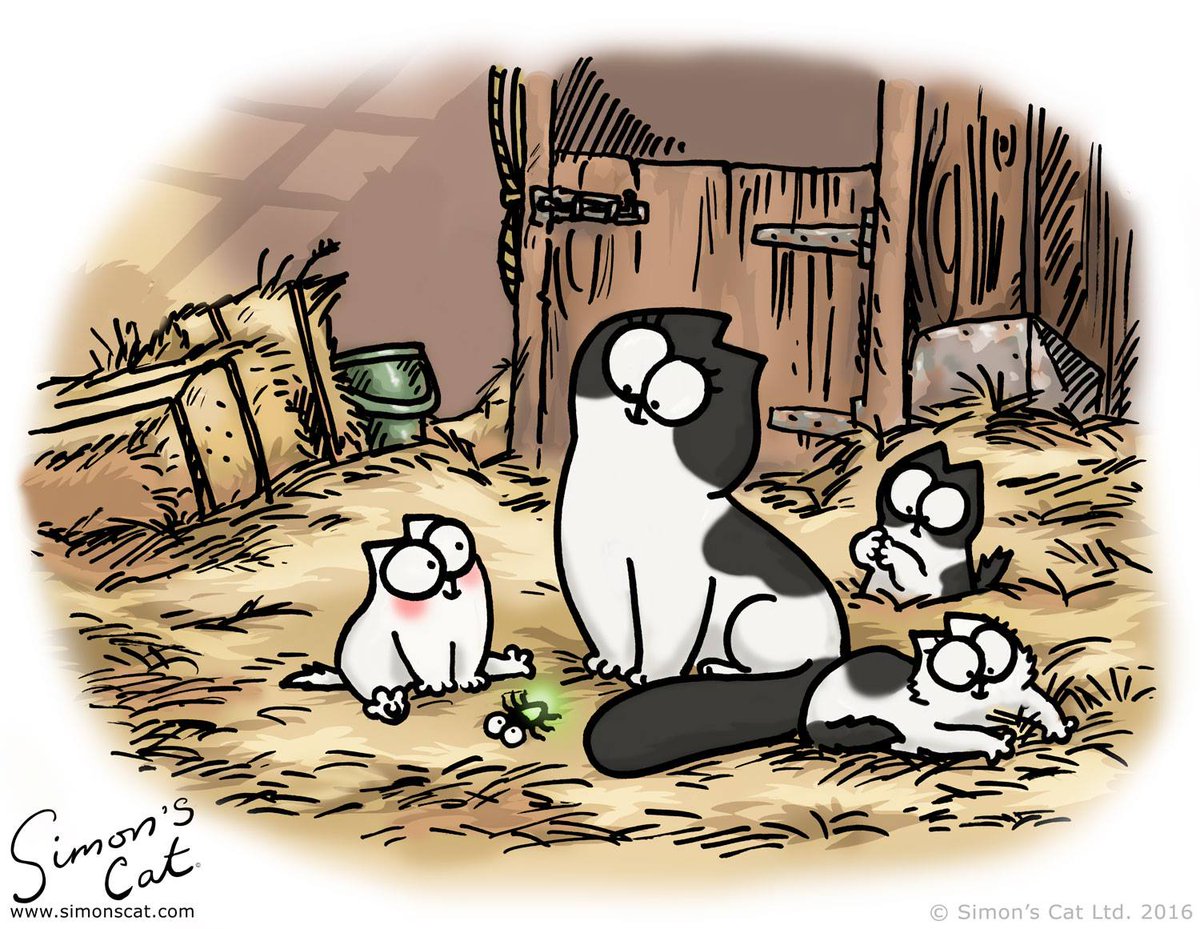 Simon's Catverified Account - Simon's Cat Mothers Day , HD Wallpaper & Backgrounds