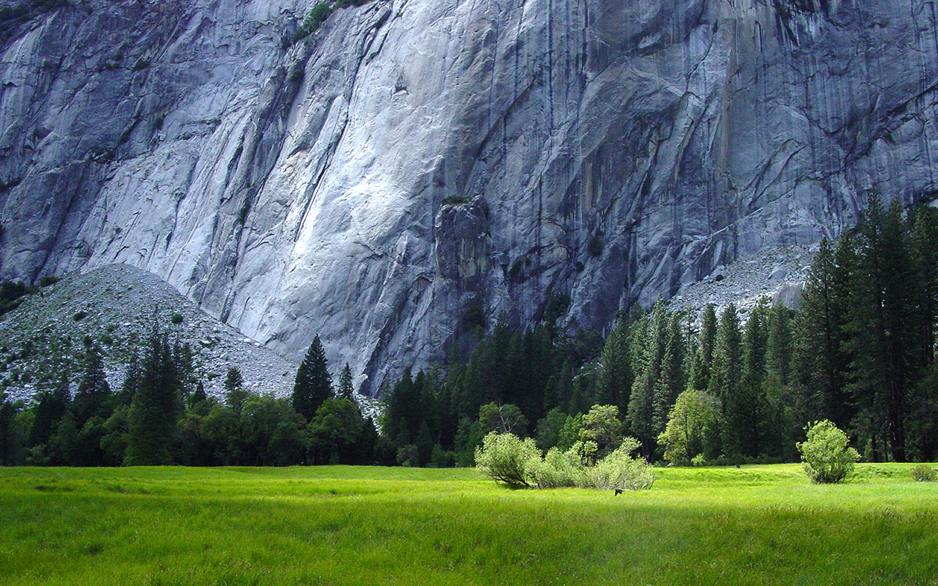 Backgrounds For Nature In - Yosemite National Park , HD Wallpaper & Backgrounds